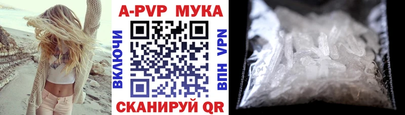 А ПВП СК  закладки  ссылка на мегу ссылки  Холм 